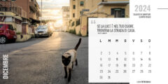 Calendario QM 2024 Reating 12